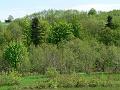wiosna 2008_27